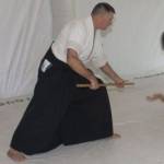 Aikido of Gainesville Profile Picture