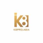 K8 Pro Profile Picture