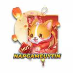 Nap gameuytin Profile Picture