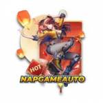 Nap Gameauto profile picture