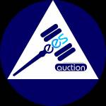eesauction1 Profile Picture