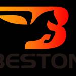 Beston Carnivalride Profile Picture