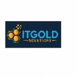 ITGOLD Solutions Profile Picture