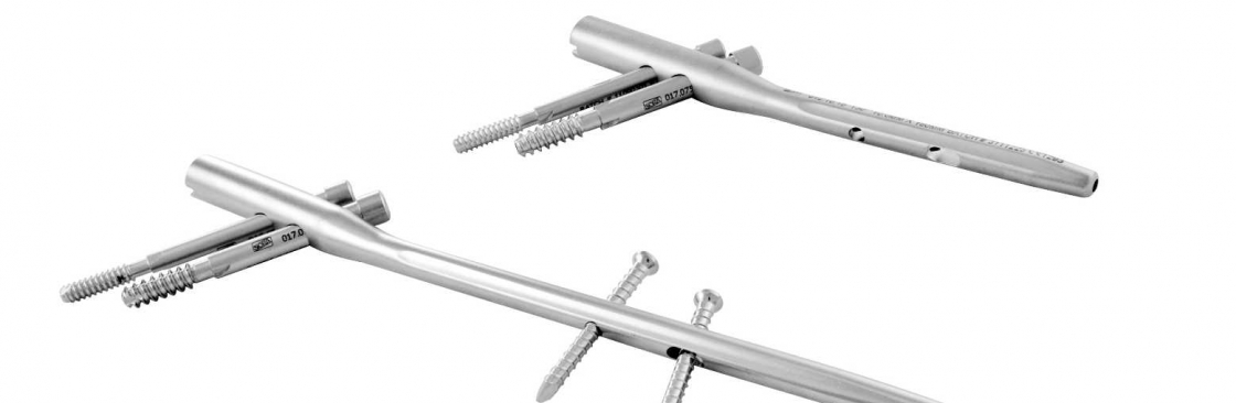 siiora surgicals Cover Image