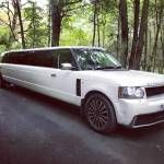 ATL Limo and Car Service Profile Picture
