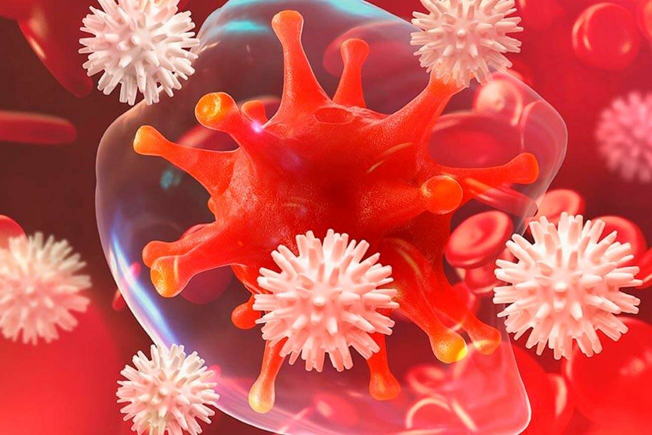 Best Immune Boosters: Most Effective Immunity Products in 2022 | Kitsap Daily News