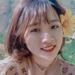 stelladung Profile Picture