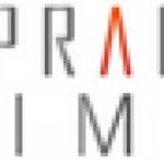 Sprain Limo Service Profile Picture