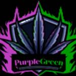 Purple Green Profile Picture