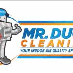 Duct Cleaning Profile Picture
