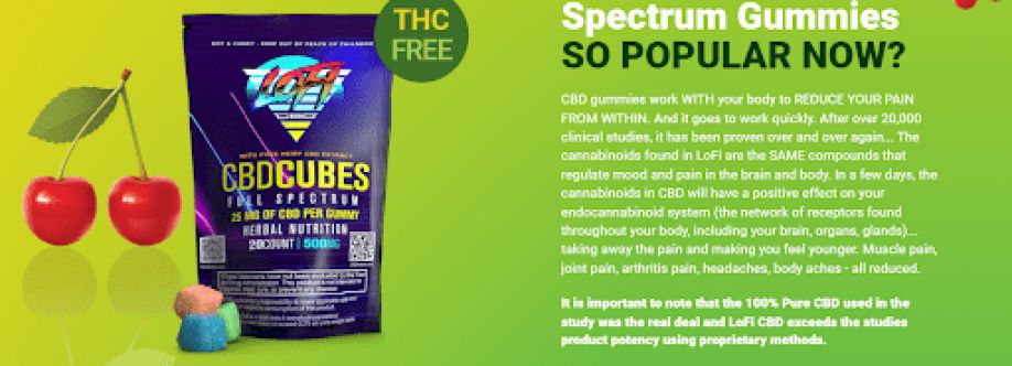 How Does Lofi CBD Gummies Work? Cover Image