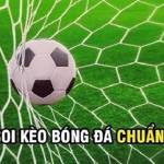 Soi Kèo Chuẩn profile picture