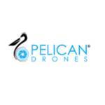 Pelicandrones Profile Picture
