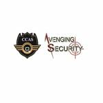 Avenging Security Profile Picture