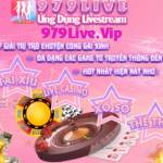 979 live Profile Picture
