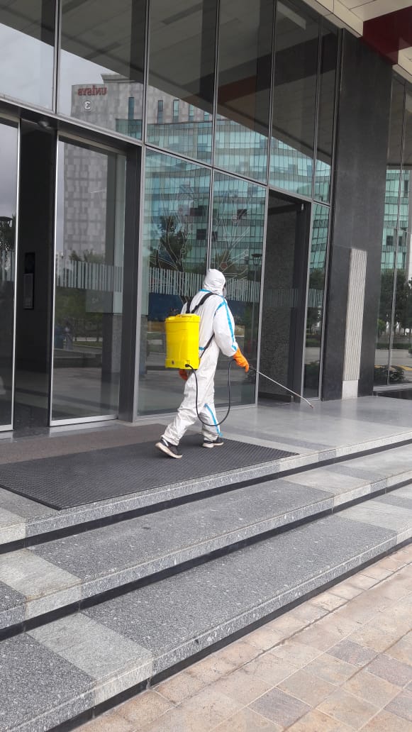 Professional Pest Control Service in Chennai