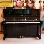 dan piano viet thanh Profile Picture
