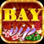 bay vip profile picture