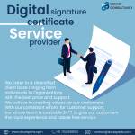 Dsc Experts Profile Picture
