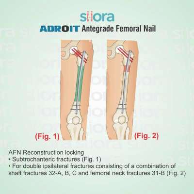ADROIT AFN Profile Picture