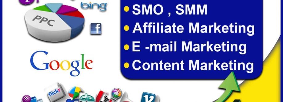 SEO Company in Ambala Cover Image