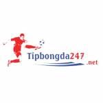 Tipbongda247net Profile Picture