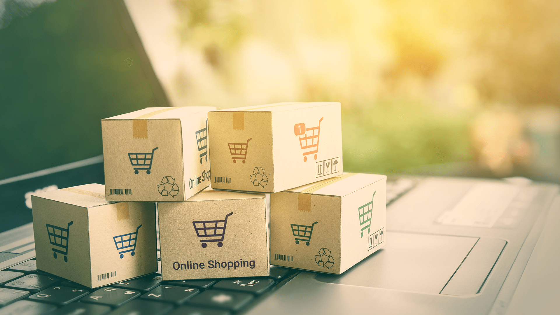 Ecommerce Website Design Development Services Company Delhi India