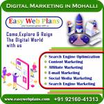 Digital Marketing Company in Mohali Profile Picture