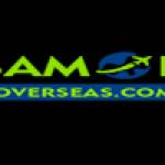 samok overseas Profile Picture