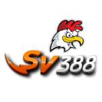 xemsv388 Profile Picture