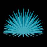 Agave Roofing Profile Picture
