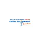 Online Assignment Expert Profile Picture