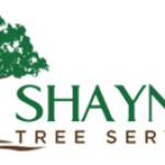 ShayneWatt Profile Picture