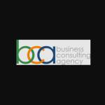 Businessconsultingagency Profile Picture