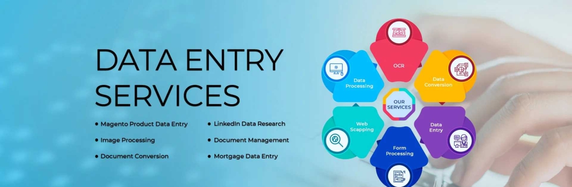 DataEntry Inc Cover Image