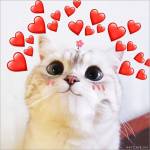 Annataylor Profile Picture