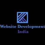Website development india Profile Picture