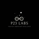 P23 Inc Profile Picture