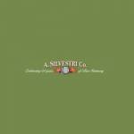 A Silvestri Co Profile Picture
