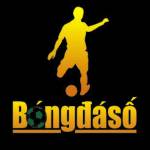 Bóng Đá Số 24h Profile Picture