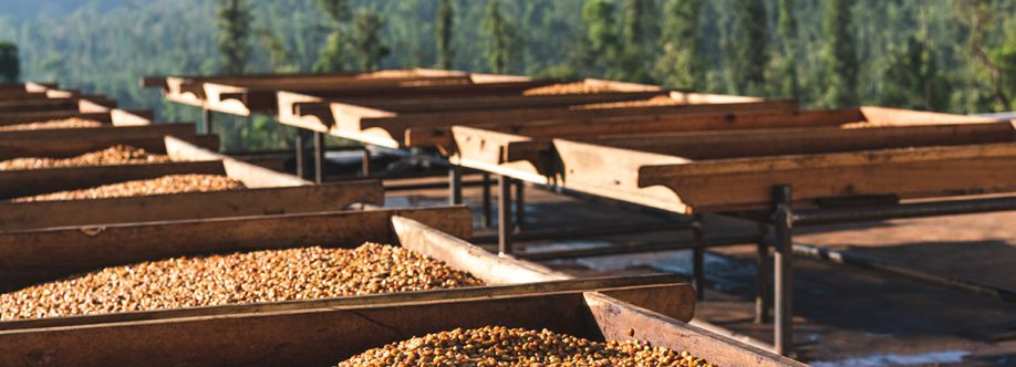 Roastery Hyderabad Cover Image