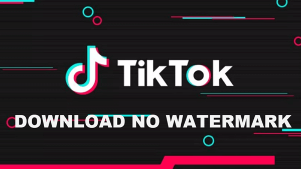 Snaptik App - Tải Video Tiktok Không Logo