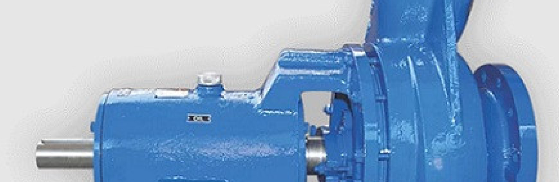 SMS Pumps and Engineers Cover Image