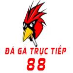 TRỰC TIẾP ĐÁ GÀ 88 TRANG LIVE GÀ THOMO HÔM NAY Profile Picture