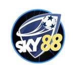 sky88horse Profile Picture