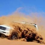 tripejent dubai Profile Picture