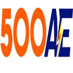 500ae wiki Profile Picture