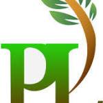 Pablo Services Profile Picture