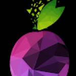 Prune Digital Solutions Pvt Ltd Profile Picture