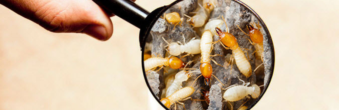 Bug Free Pest Control Cover Image